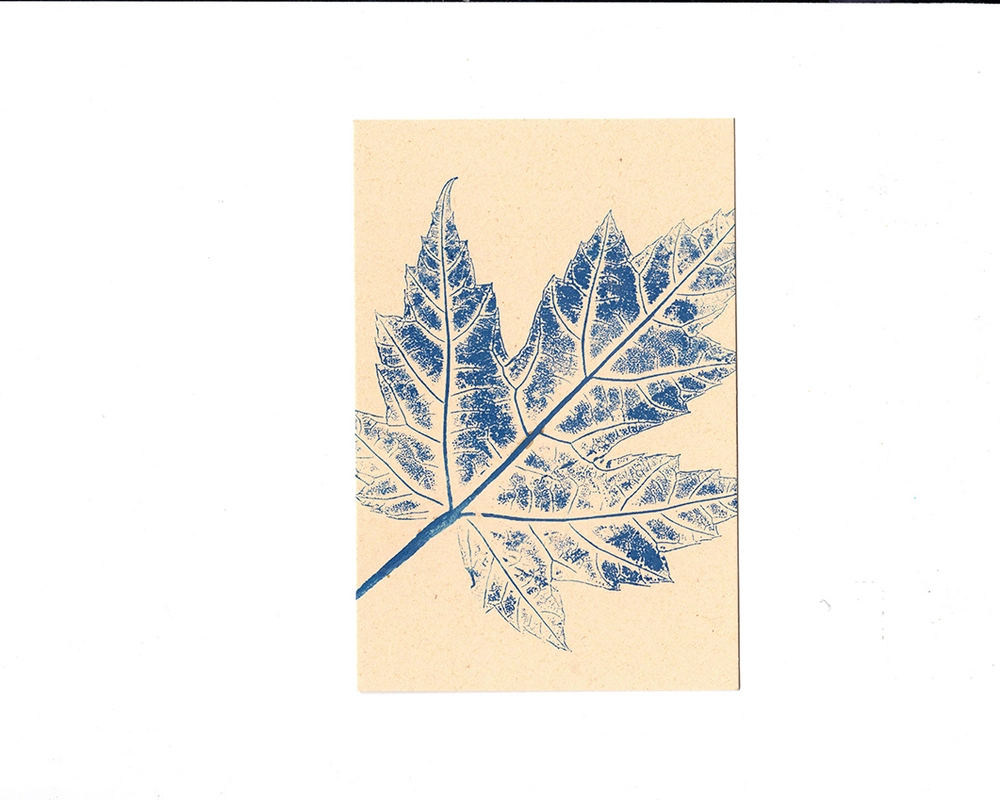 листья.11