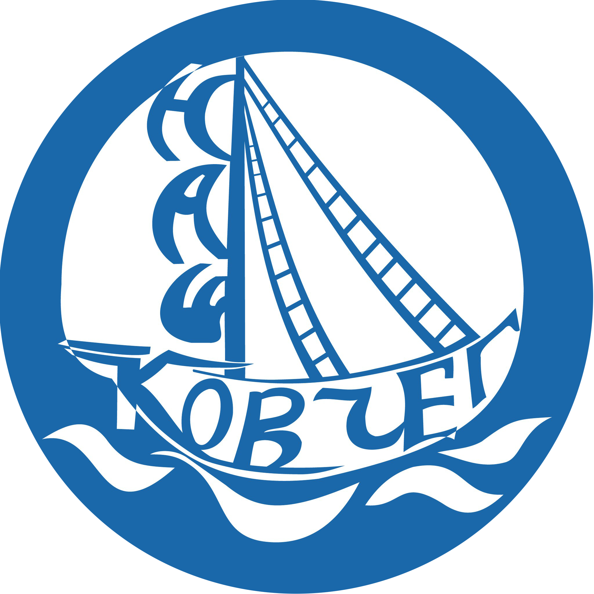 РООИ 